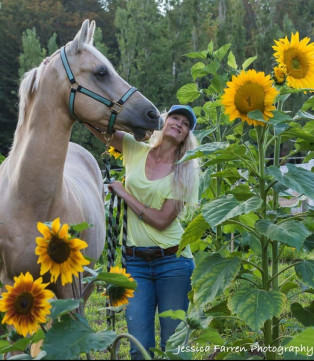 melandjoeinsunflowers